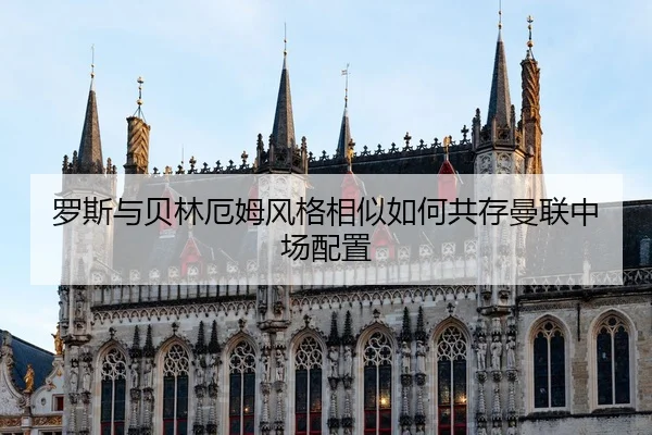 luo-si-yu-bei-lin-e-mu-feng-ge-xiang-si-ru-he-gong-cun-man-lian-zhong-chang-pei-zhi-3-847.jpg