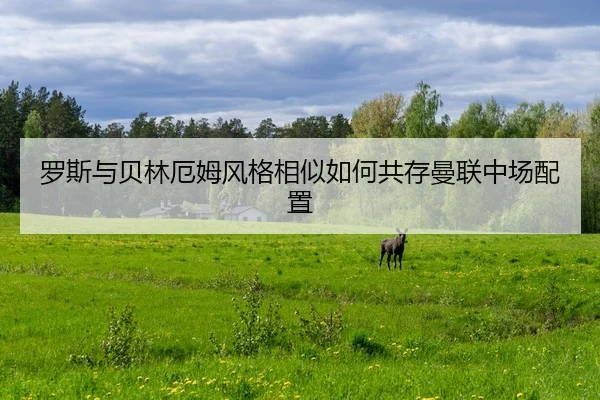 罗斯与贝林厄姆风格相似如何共存曼联中场配置