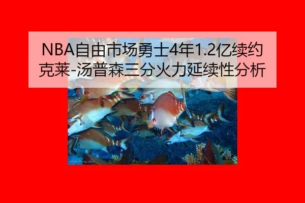 NBA自由市场勇士4年1.2亿续约克莱-汤普森三分火力延续性分析