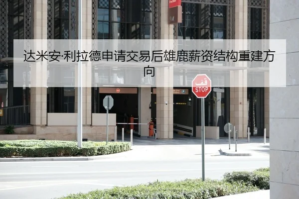 da-mi-an-li-la-de-shen-qing-jiao-yi-hou-xiong-lu-xin-zi-jie-gou-chong-jian-fang-xiang-3-712.jpg